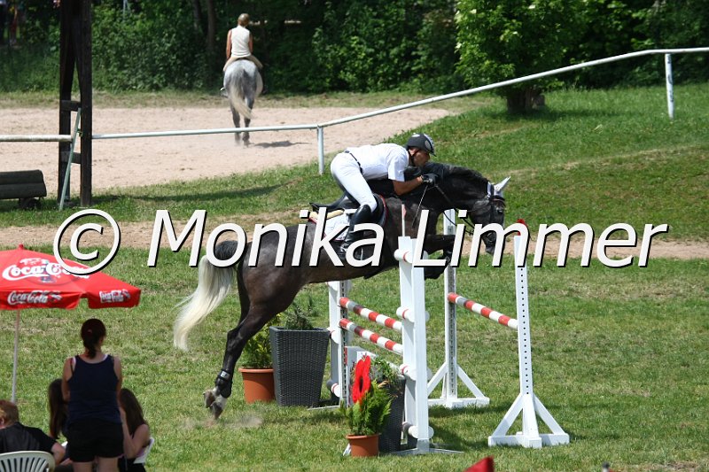 105M2367_JPs Cora_Spring_L.JPG